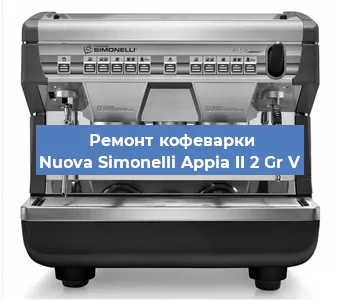 Чистка кофемашины Nuova Simonelli Appia II 2 Gr V от накипи в Волгограде